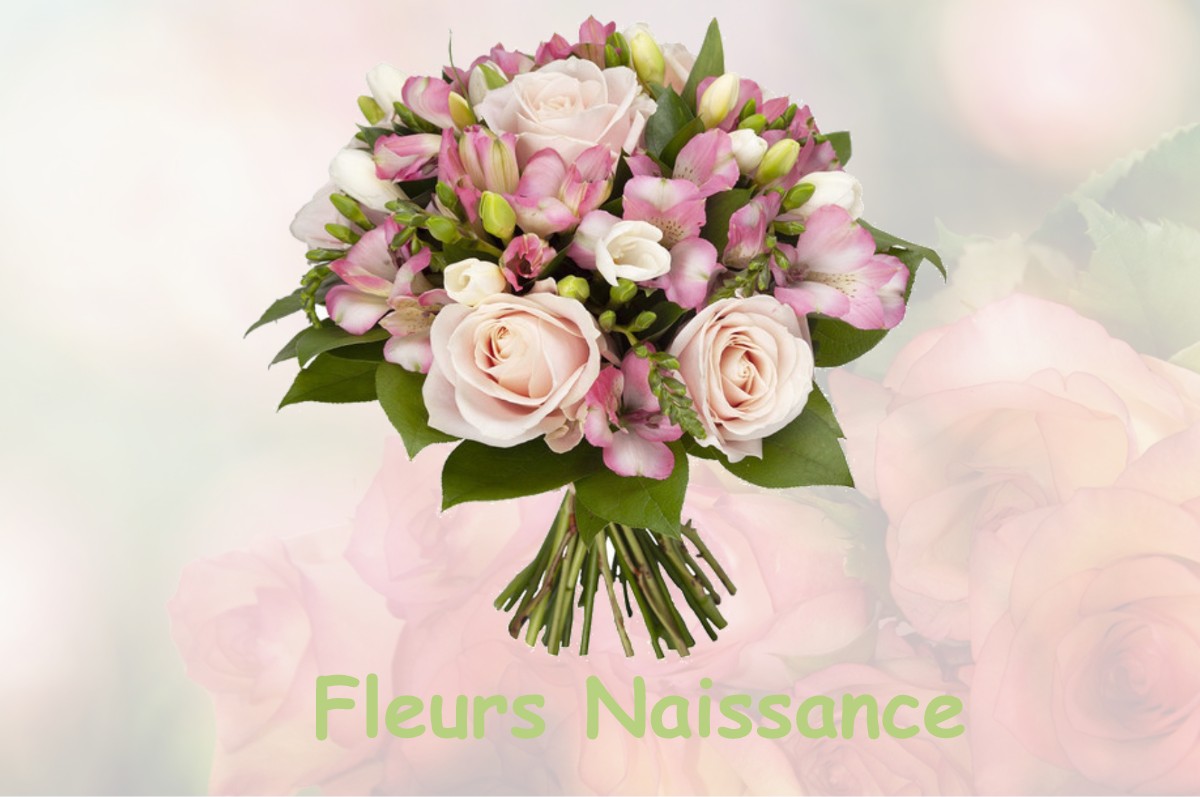 fleurs naissance CHAMPNETERY