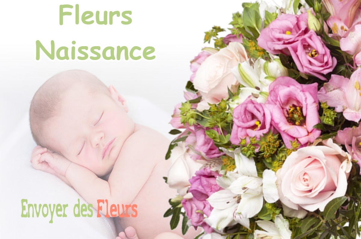 lIVRAISON FLEURS NAISSANCE à CHAMPNETERY